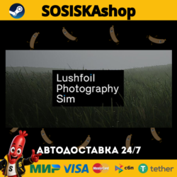 Lushfoil Photography Sim   ВЫБОР РЕГИОНА STEAM