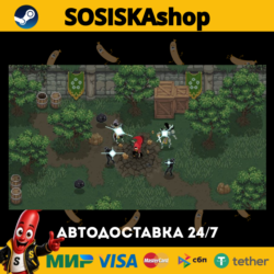 Wizard of Legend   ВЫБОР РЕГИОНА STEAM