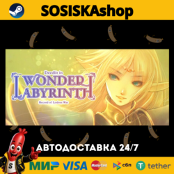 Record of Lodoss War-Deedlit in Wonder Labyrinth-   ВЫБОР РЕГИОНА STEAM