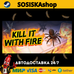 Kill It With Fire   ВЫБОР РЕГИОНА STEAM