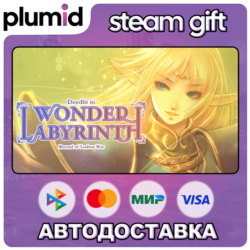 Record of Lodoss War-Deedlit in Wonder Labyrinth- Steam Gift / Россия   МИР / АВТО