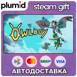 Owlboy Steam Gift / Россия   МИР / АВТО
