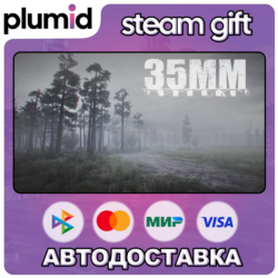35MM Steam Gift / Россия   МИР / АВТО