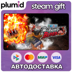 One Piece Burning Blood Steam Gift / Россия   МИР / АВТО