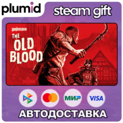 Wolfenstein: The Old Blood Steam Gift / Россия   МИР / АВТО