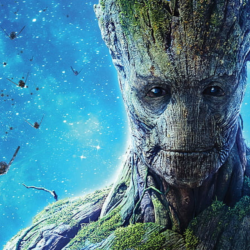 FN (All platforms) [Groot] Полный доступ