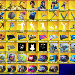 Мгновенный доступ • FN (все платформы) • 163 skins • 500 VB • Полный доступ