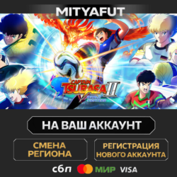 CAPTAIN TSUBASA 2: WORLD FIGHTERS | ПОДАРОК STEAM