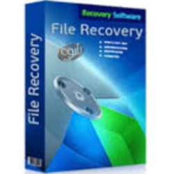 RS File Recovery Unlimited Edition Win/Mac/Linux пожизненный ключ