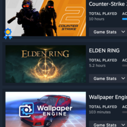ONLINE STEAM | CS2 Prime 10ч | ELDEN RING 5ч | Dota 275ч   6 GAMES | Полный доступ