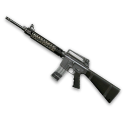 M16A3 Custom (1 час)