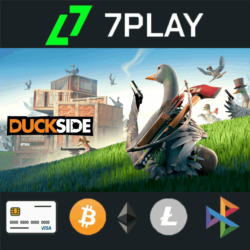 Duckside - Оффлайн Steam [24/7]