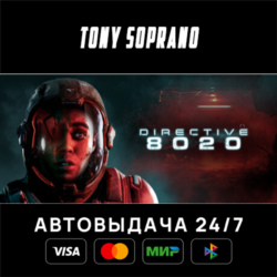 Directive 8020 STEAM GIFT