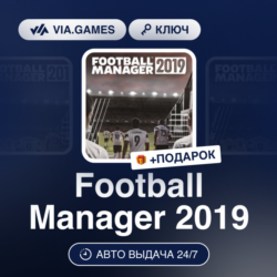 Football Manager 2019 (Steam Ключ) Европейский Союз   ПОДАРОК
