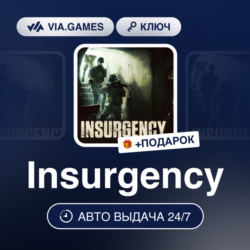 Insurgency (Steam Ключ) РФ-СНГ-МИР   ПОДАРОК