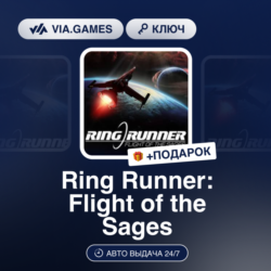Ring Runner: Flight of the Sages (Steam Ключ) РФ-СНГ-МИР   ПОДАРОК