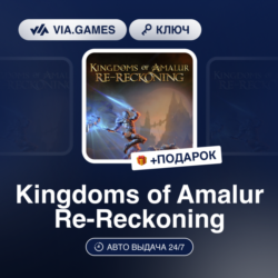Kingdoms of Amalur Re-Reckoning (Nintendo Switch Ключ) Европейский Союз   ПОДАРОК