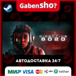 Directive 8020 СТИМ Steam Gift