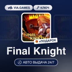 Final Knight (Steam Ключ) РФ-СНГ-МИР   ПОДАРОК