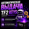 Ключ от ящика Манн Ко | TF2 Keys | Быстрая доставка Steam Trade