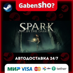 Spark in the Dark СТИМ Steam Gift