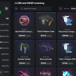 Автовыдача • CS 2 • Инвентарь $8,787.63 • Полный доступ • VAC