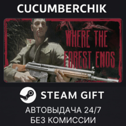 Where the forest ends✅STEAM GIFT AUTO✅RU МИР