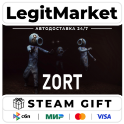 Zort / Steam АВТО / РУ   МИР