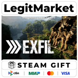 EXFIL / Steam АВТО / РУ   МИР