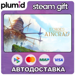 Echoes of Aincrad Steam Gift / МИР / АВТО