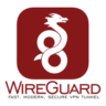 WireGuard VPN Бельгия | 1 месяц | Работает в РФ