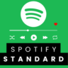 SPOTIFY STANDARD 1 МЕСЯЦ НА ВАШ АККАУНТ