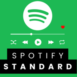 SPOTIFY STANDARD 12 МЕСЯЦЕВ  НА ВАШ АККАУНТ