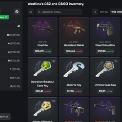 Автовыдача • CS 2 • Инвентарь $1,055.47 • Полный доступ • VAC