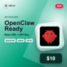 OpenClaw API ваучер $10 | Base URL   API Key | lizh.ai