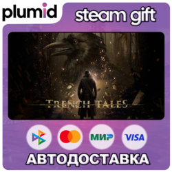 Trench Tales Steam Gift / Россия   МИР / АВТО