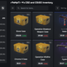 Автовыдача • CS 2 • Инвентарь $3,446.66 • Полный доступ • VAC