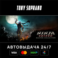 NINJA GAIDEN: Master Collection Deluxe Edition STEAM GIFT
