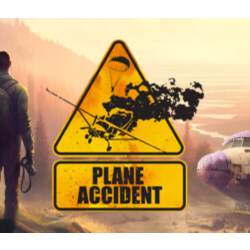 Plane Accident STEAM | GLOBAL | Моментальная выдача | Бонус за отзыв