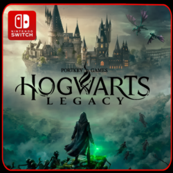 ⭐️Hogwarts Legacy ⭐️ Nintendo Switch