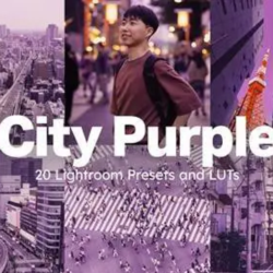 Набор из 20 пресетов City Purple для Lightroom и LUT-файлов