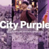Набор из 20 пресетов City Purple для Lightroom и LUT-файлов
