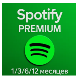 spotify premium 12 month