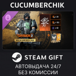 Tom Clancy’s The Division 2 – Into the Dark Supply Drop STEAM GIFT AUTO RU МИР