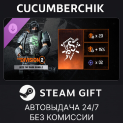 Tom Clancy’s The Division 2 – Into the Dark Bundle STEAM GIFT AUTO RU МИР