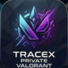 TraceX - приватный чит на Valorant | iOS