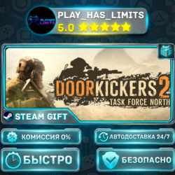 🎁Door Kickers 2: Task Force North *RU/BY/UA/СНГ Steam Auto