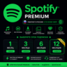 SPOTIFY PREMIUM | INDIVIDUAL| PLATINUM AI DJ | DUO| FAMILY