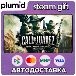Call of Juarez: Bound in Blood Steam Gift / Россия   МИР / АВТО