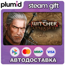 The Witcher Adventure Game Steam Gift / Россия   МИР / АВТО